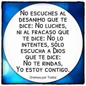 Meet your Posher, Marilyn